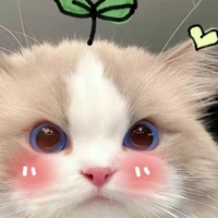 All ( trừ ai thì trừ) 