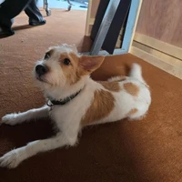 Ông trời sống ác với tôi