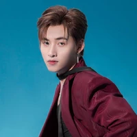 Hoàng Hùng Huỳnh - Gimini Hùng Huỳnh
