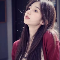 Phó Vân Chi