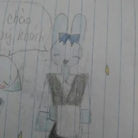 bunny