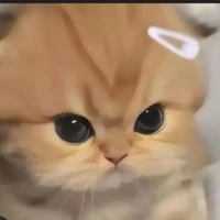 Ali bot