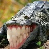 mẹ của nightcrawler