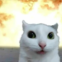 mẹ của pizza guy