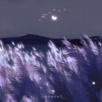 all (- ai cần)