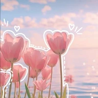 làn gió nhẹ/tác giả