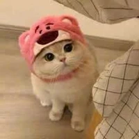 tác giả- hệ thống chủ