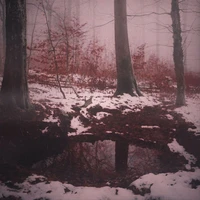 ¿¿¿ N∅b∅dy ‽‽‽