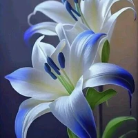 Bố của hai anh em