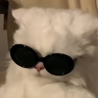 all ( - ai tự biết )