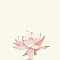 Nguyễn Trần Thị An