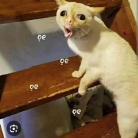 tác giả les gay eo ji bi ti các kiểu