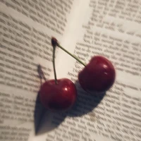 Con mắm tác giả