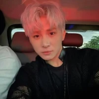 Lê Hồng Sơn
