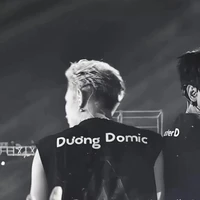 Đăng Dương (domic)