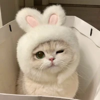 muốn cưới trai Heavy