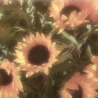 •˙Nhân vật phụ ིྀ˚