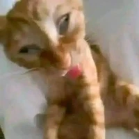 uyên//bạn cùng lớp//