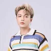 Mr . Vịt