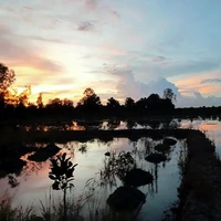 all (trừ ai thì trừ )