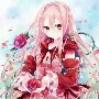 Ezra scarlet/rose