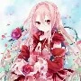 Ezra scarlet/rose