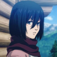 Mikasa Ackerman.