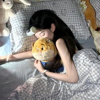 Zam~ tác giả
