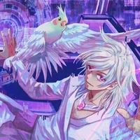 hiha hologram( hiha lòe loẹt)