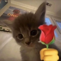 t/g iu cả lò mình 