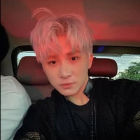 Lê Hồng Sơn