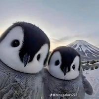 Jon( hệ thống xuyên không)