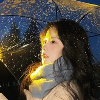 Phan Đỗ Ánh Nguyệt