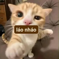 Lớp Trưởng (Hân)