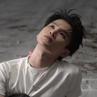 Phạm Đình Thái Ngân