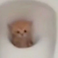vũ thùy dương