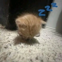 cô Nguyệt xinh gái 🫦