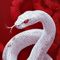 Phương Vũ–Dạng Rắn