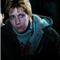 🫠Fred Weasley🫠