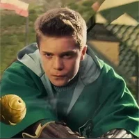 💡Terence Higgs💡