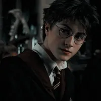 ✨Harry Potter✨
