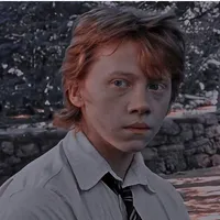 🍗Ronald Weasley🍗