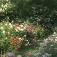 All