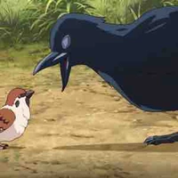 Quạ Kasugai-tuỳ thuộc theo tình huống