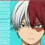 shoto todoroki