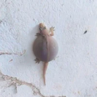 alltop ( - ai thì trừ)