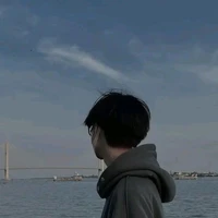 Vũ Hoài Nam