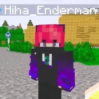 hiha enderman