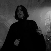 Giáo sư Snape