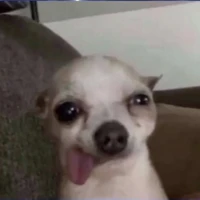tg